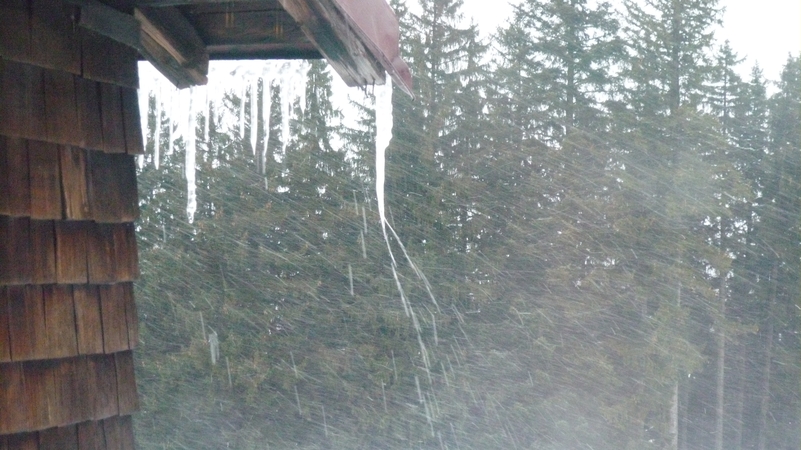 PaSta auf der Almh&uuml;tte - Bild Nr. 28 von 79