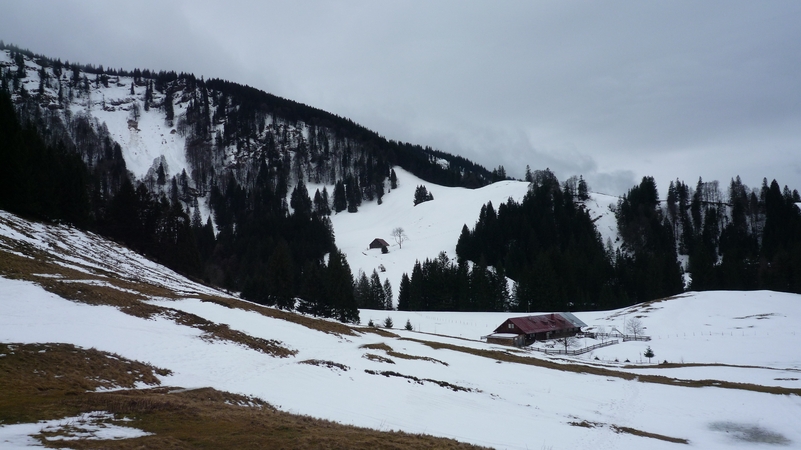 PaSta auf der Almhütte - Bild Nr. 79 von 79