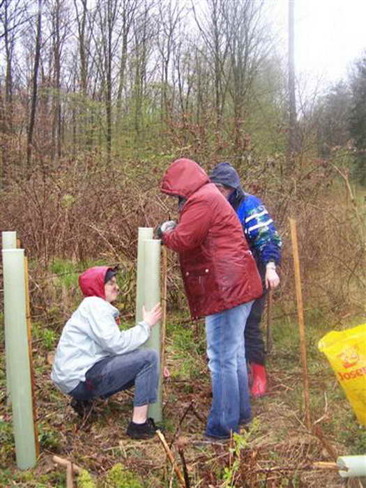 Pflanzaktion Im Sauhag 2008 - Bild Nr. 21 von 34