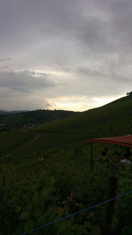 Weinwanderung 2016 - Bild Nr. 3 von 98