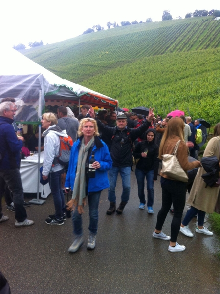 Weinwanderung 2016 - Bild Nr. 37 von 98