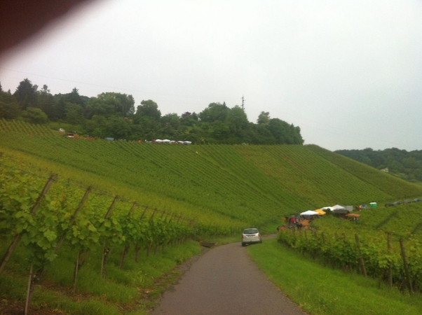 Weinwanderung 2016 - Bild Nr. 38 von 98