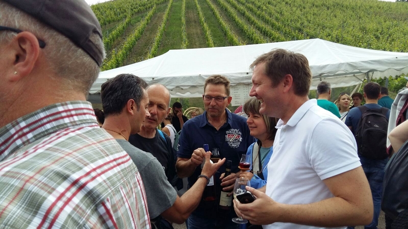 Weinwanderung 2016 - Bild Nr. 55 von 98
