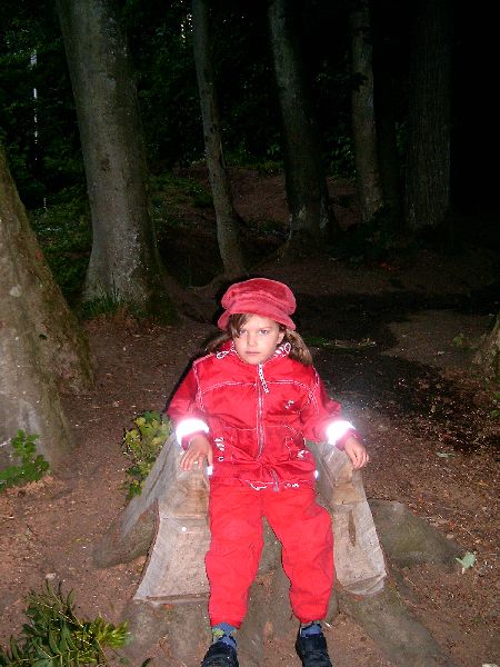 Zelten im Sauhag 2004 - Bild Nr. 8 von 48